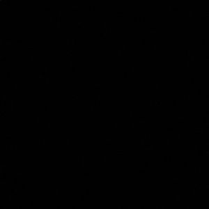 Meet your Posher, Brittney